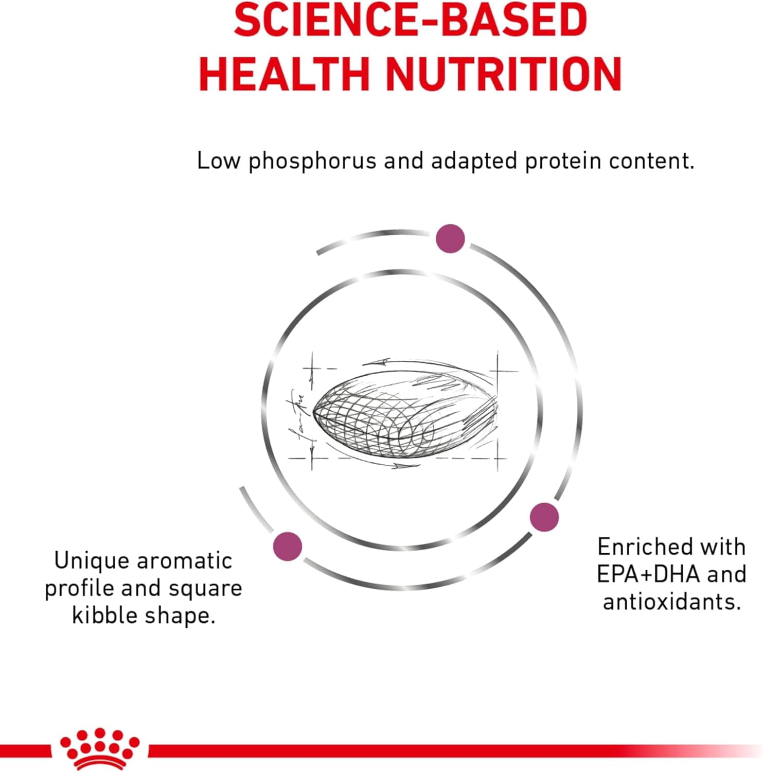 Royal Canin® Feline Renal Support S Dry Cat Food, 3 lb