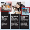 thumbnail image 4 of Cruciate Ligament & Hip Support Brace for Dog's Back Leg, Adjustable Knee & Back Brace for Injury RecoveryS, 4 of 5
