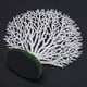 thumbnail image 2 of Plantas De Coral Artificiales, Decoración De Acuario Bajo El Agua, Con Base De Resina, Crea Un Ambiente De Vida, Adecuado Para Agua Dulce Y Salada, Adhesión Para Bacterias, 2 of 7