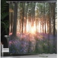 thumbnail image 4 of Ambesonne Forest Shower Curtain, Sunrise Woods in Spring, 69"Wx75"L, Purple Green, 4 of 5