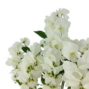 Mainstays 20 inch Artificial Flower, Wisteria Bouquet, White Color. Indoor Use.