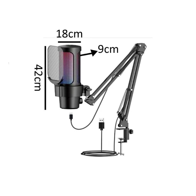 CEORPER Clear Sound USB Pickup Boom Arm Set Noise Suppression Technology