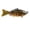B, variant on Pimea Fishing Lure with BKK Hook,3.94" Easy Catch: Wiggling, Vibrating, Rattling with Noise, Heavy-Duty Dyneema Fiber Jointed Swimbait for Bass, Trout, Crappie,Ideal for Family Fishing