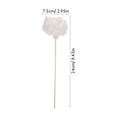 thumbnail image 2 of unbranded 4Ud Flor Secada Beige Reemplazable Para Difusores De Aceite En Casa, 2 of 8