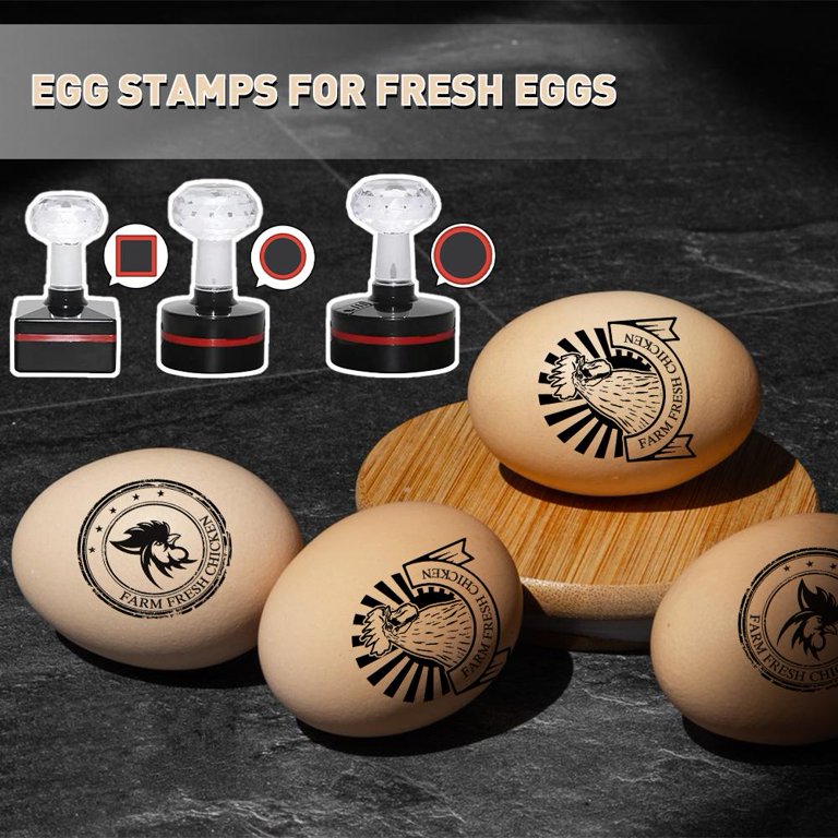 Egg Stamps for Fresh Eggs Cute Egg Stamps Egg Stamps for Fresh Eggs  Personalized