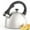 Satin, variant on Creative Home Satin Splendor 2.8 Qt. Premium Stainless Steel Whistling Tea Kettle, Aqua