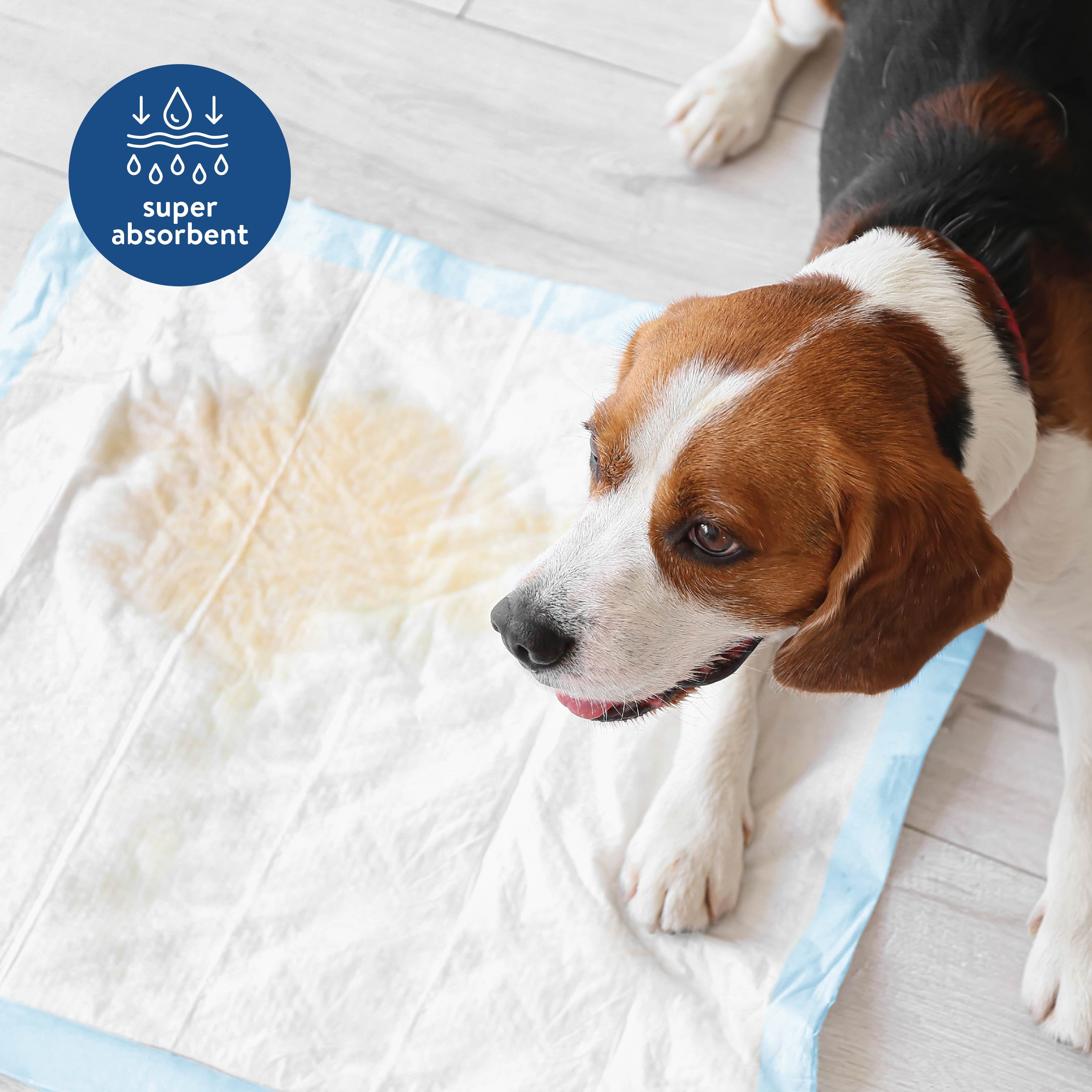 Brilliance Puppy Training Pads, 50 Count Leak-Proof Disposable, 22" x 22"