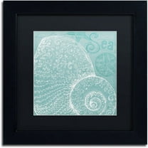 Trademark Fine Art "Aqua Treasure IV" Canvas Art by Daphne Brissonnet, Black Matte, Black Frame