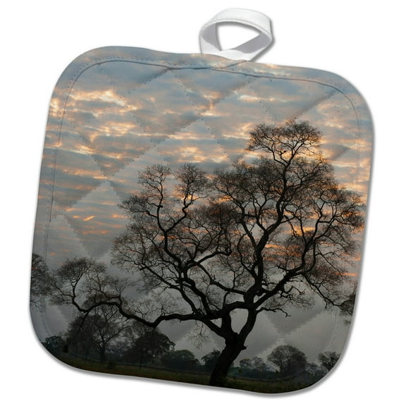 3dRose, Brazil, Sunrise peeking through the clouds over the Pantanal Wetlands., 8x8 Potholder