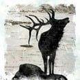 thumbnail image 2 of Robinson, Carol 12x12 Black Ornate Wood Framed with Double Matting Museum Art Print Titled - Birchbark Elk, 2 of 4