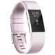 thumbnail image 2 of Para Charge 2 Reemplazo Reloj Inteligente Bandas Correa Pulsera Pulsera, 2 of 7