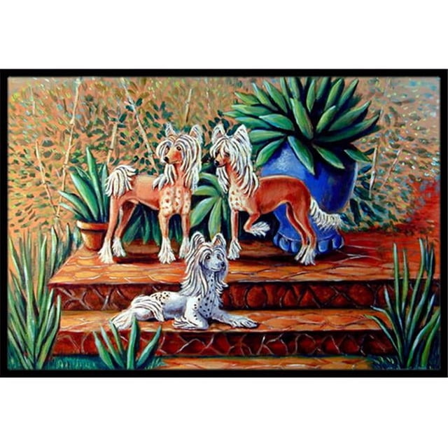 Carolines Treasures 7505MAT Tapis Intérieur Extérieur 18 x 27 Po. Chinese Crested