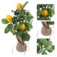 thumbnail image 5 of GOOHOCHY Tallo de planta artificial, adorno de rama de limón, arreglo floral, decoración de jarrón, 5 of 8