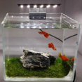 thumbnail image 4 of Ultra-Thin Aquarium LED Light Ultra Bright Clip-on Lighting Lamp 12 LEDs for Aquarium Fish Tank 5W, 4 of 5