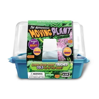 Toys By Nature Venus Fly Trap Kit - Carnivorous Bug Eating Plant