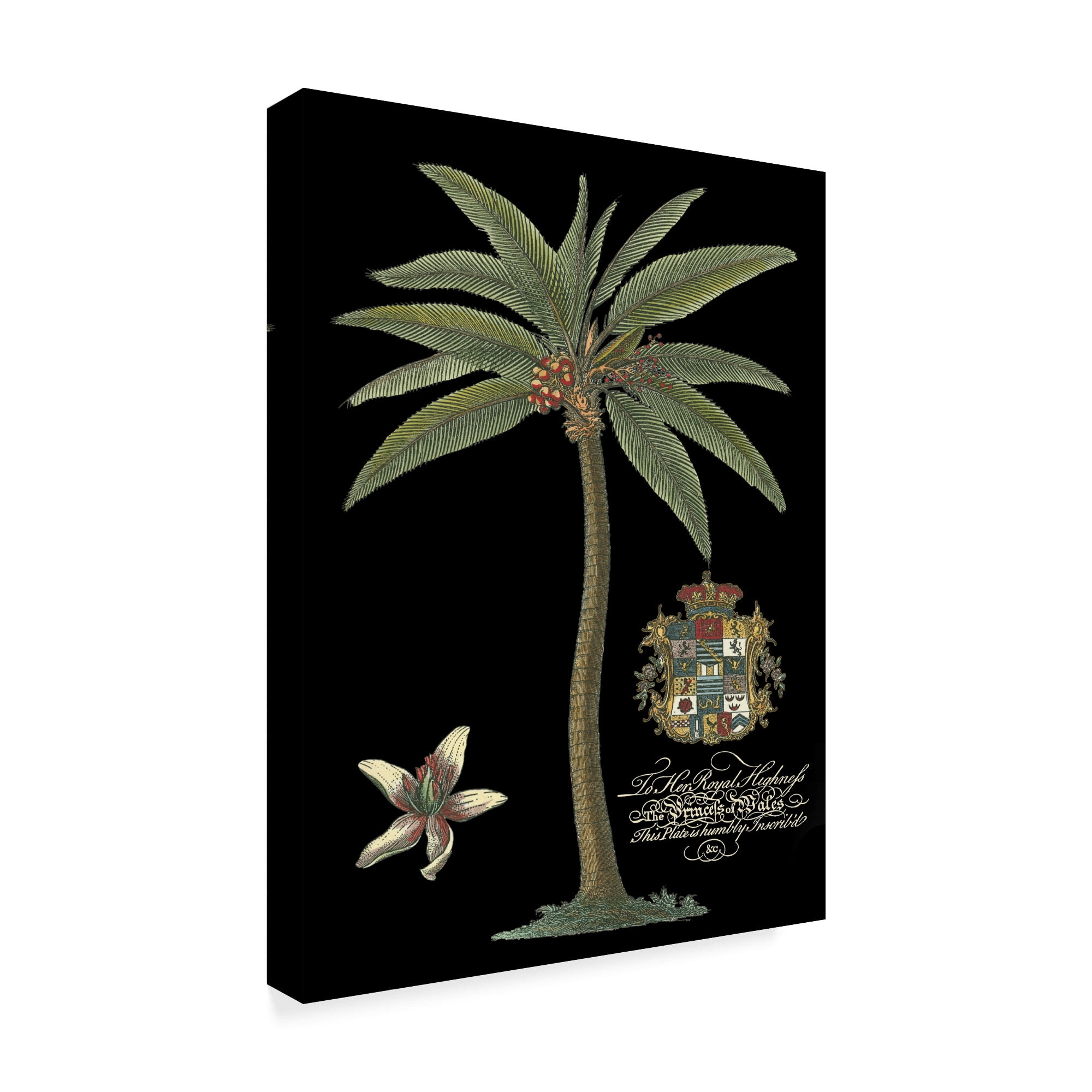 Trademark Fine Art 'Palm on Black I' Canvas Art by Unknown