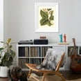 thumbnail image 4 of Art.com Fantastical Botanical IV Art Print by Vision Studio, White Frame Wall Art, 32" x 40", 4 of 5