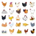 thumbnail image 3 of Paquete de pegatinas de anime con dibujos animados de pollo, 50 unidades, 3 of 4