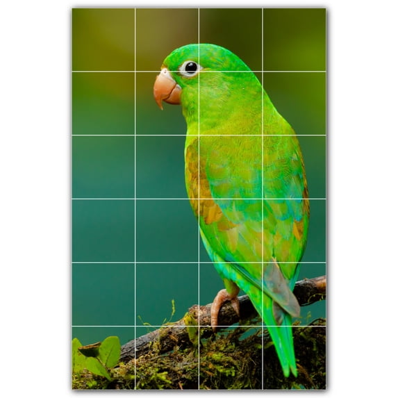 Picture-Tiles.com: Bird Ceramic Tile Wall Mural WAL500220-46L. 32"W x 48"H using (24) 8" x 8" Ceramic Tiles-Satin Finish