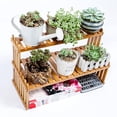 thumbnail image 3 of 1 estante para plantas de exhibición., 3 of 3