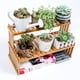 thumbnail image 3 of 1 estante para plantas de exhibición., 3 of 3
