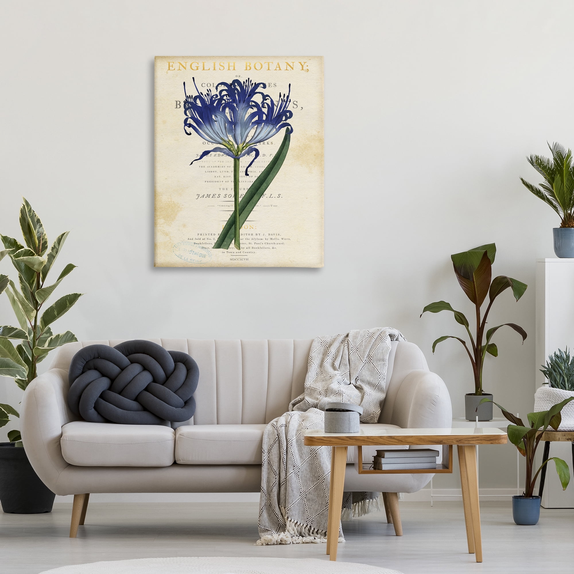Stupell Industries English Botany Blue Floral Canvas Wall Art, design by Susan Arnot