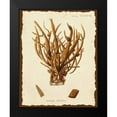 thumbnail image 2 of Esper, Johann 20x24 Black Modern Framed Museum Art Print Titled - Natura Coral V, 2 of 5