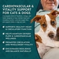 thumbnail image 6 of Animal Essentials Heart Health Herbal Formula For Dogs And Cats 2-Ounce, 6 of 9