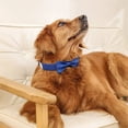 thumbnail image 7 of Green Cotton Dog Bow Tie Collar, Adjustable 16.5-21.3in Neck Girth Formal Tuxedo Accessory for Extra Large Dogs Wedding Birthday Holiday, 7 of 7