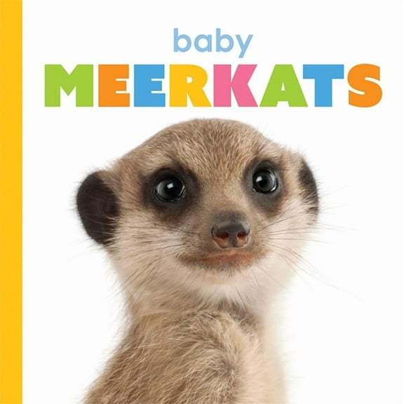 Starting Out: Baby Meerkats (Paperback)