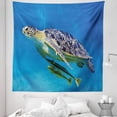 thumbnail image 1 of Turtle Tapestry, Angry Looking Sea Turtle Swimming with Remora Fishes Fauna Under the Sea, Fabric Wall Hanging Decor for Bedroom Living Room Dorm, 5 Sizes, Blue Yellow Brown, by Ambesonne, 1 of 1