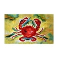 thumbnail image 1 of Betsydrake DM1208G 30 x 50 in. Rock Crab Door Mat, 1 of 1