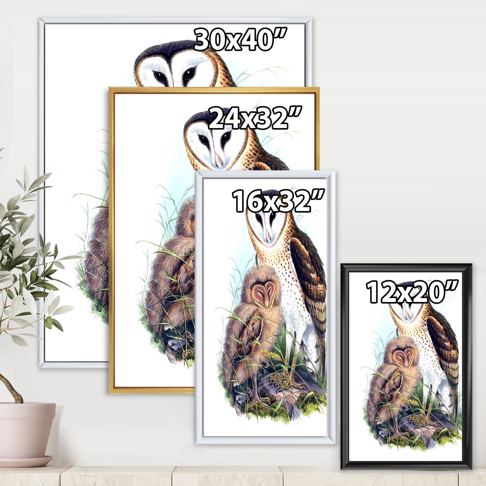 Designart 'Ancient Birds I' Traditional Framed Canvas Wall Art Print