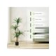 thumbnail image 4 of Estilizado para home y oficina decoration: versatile 4ft/5ft/6ft simulation dracaena artificial tree, 4 of 9