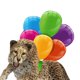 thumbnail image 2 of Colgante con adornos de globos de colores, accesorios de decoración, decoración colgante Leopardo, 2 of 5
