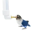 Water Bottle Automatic Feeder for Birds Small Animals No Drip for Pet