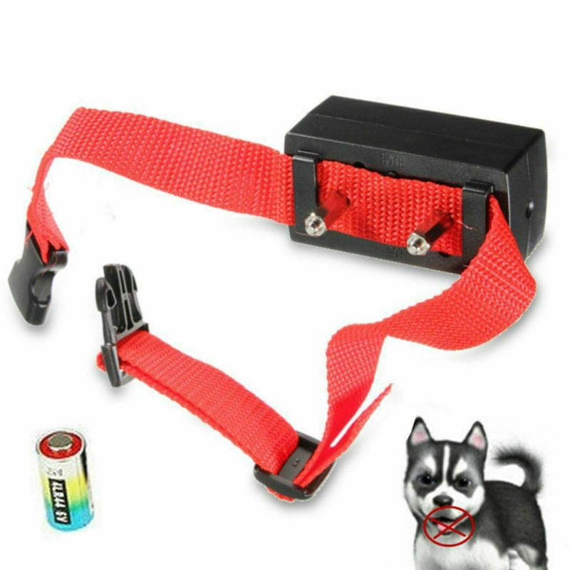 dog long lasting chew