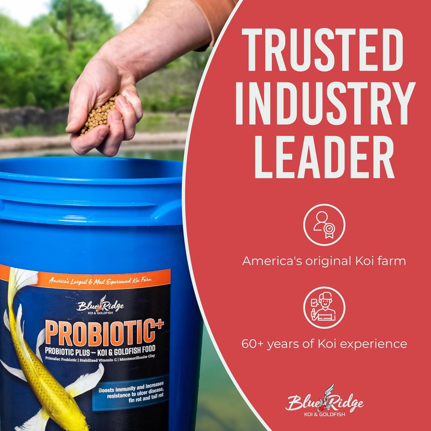 Blue Ridge Koi Fish Food 14lb - Koi Food 3/16” Probiotic Plus, Goldfish Food, Premium Fish Food for Ponds, Ponds Fish Food, Koi Food Fall and Winter Fish Food, Floating Pond Pellets