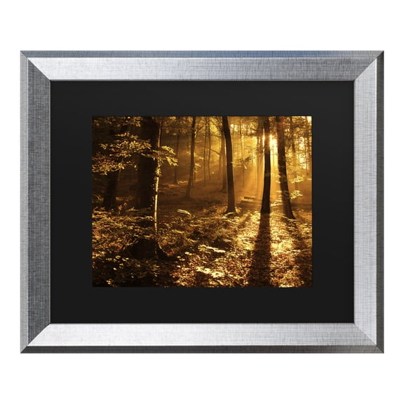 Trademark Fine Art 'Morning Light' Canvas Art by Philippe Sainte-Laudy