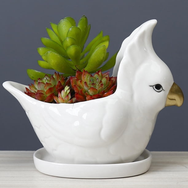Linda maceta de con orificio de drenaje Decoración pequeña Maceta Ornamento Adorno Maceta Planta para oficina Cactus pequeño Plantas s blanco shamjiam Contenedor suculento