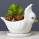thumbnail image 1 of Linda maceta de con orificio de drenaje Decoración pequeña Maceta Ornamento Adorno Maceta Planta para oficina Cactus pequeño Plantas s blanco shamjiam Contenedor suculento, 1 of 8