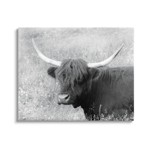 Stupell Farmhouse Cattle Highland Portrait Animals & Insects Photography Gallery Wrapped Canvas Print Wall Art