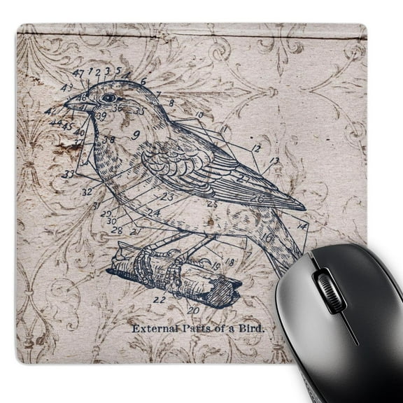 3dRose, Vintage Birds with diagram steampunk art, MousePad
