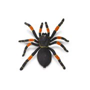 Safari Ltd. Orange-Kneed Tarantula Figurine - Realistic 8 Arachnid Figure - Educational Toy for Boys, Girls, and Kids Ages 3+
