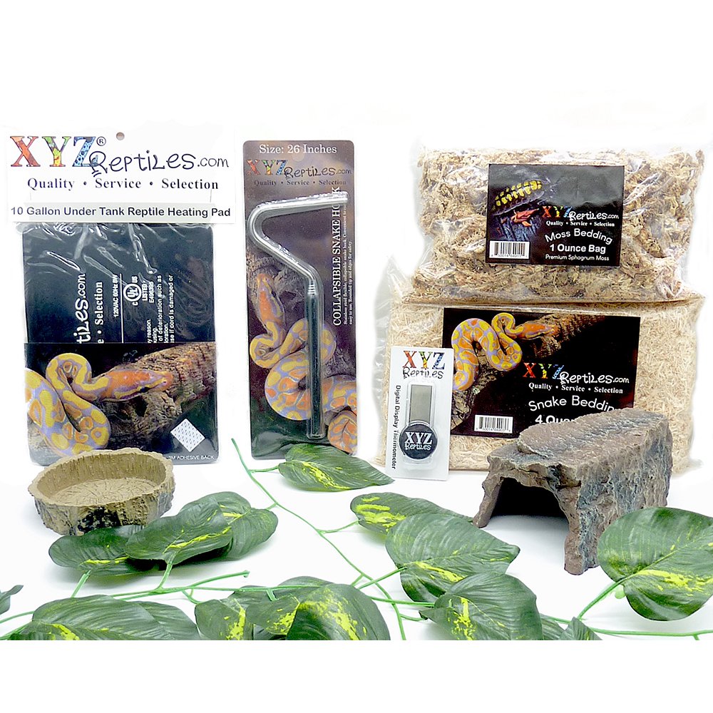 XYZReptiles Ball Python Snake Habitat 10 Gallon Terrarium Baby Snake