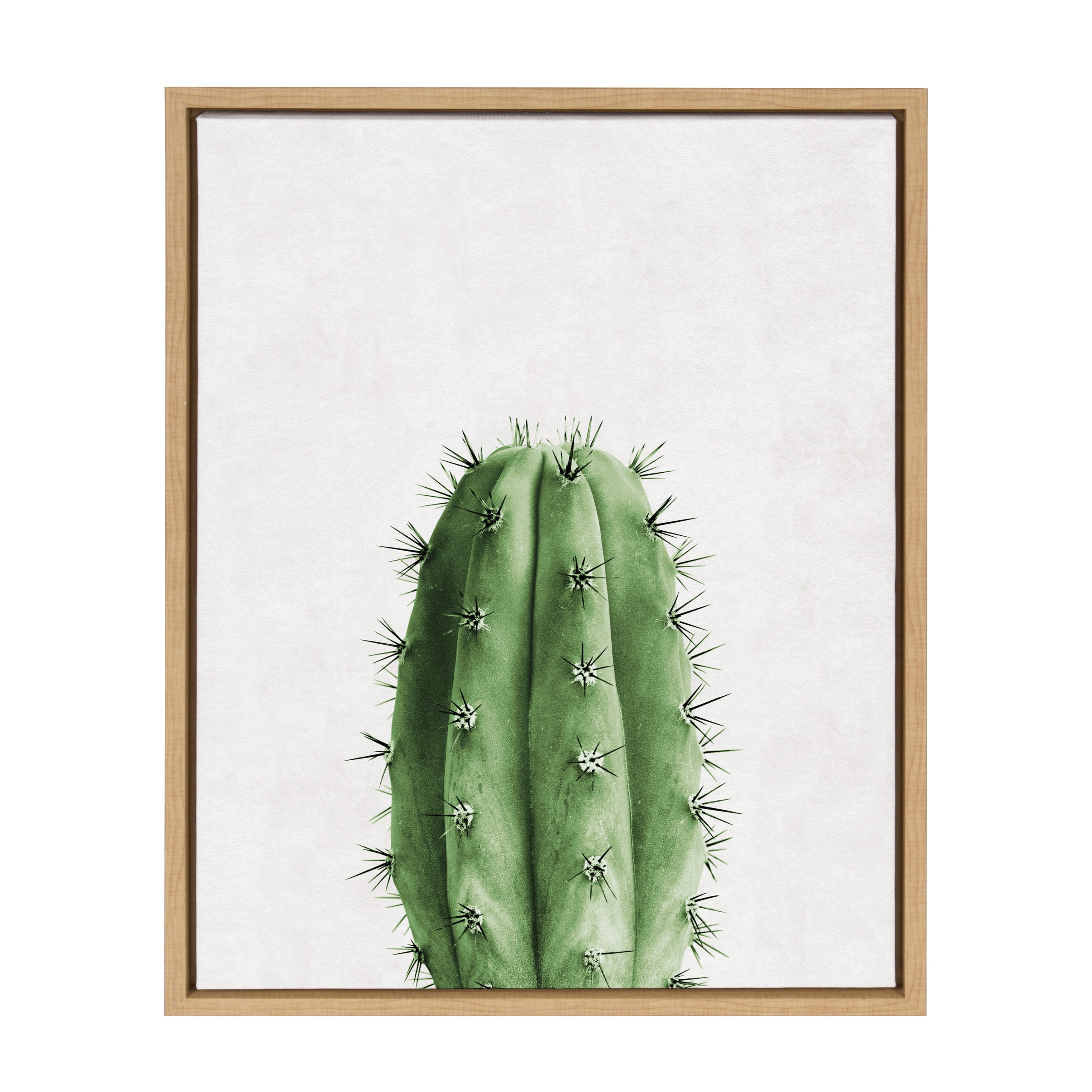 Kate and Laurel Sylvie Color Photo of Cactus Vertical Framed Canvas