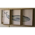 thumbnail image 2 of Kalalou Inc Triptych Framed Whale Print Under Glass, 2 of 2