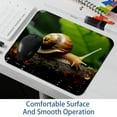 thumbnail image 6 of Snail Square Desk Mat, 8.3x9.8 Inch, Non-Slip Rubber Bottom, Printed, Suitable for Office and Gaming - Gaming Mousepad and Mouse Pad, 6 of 6