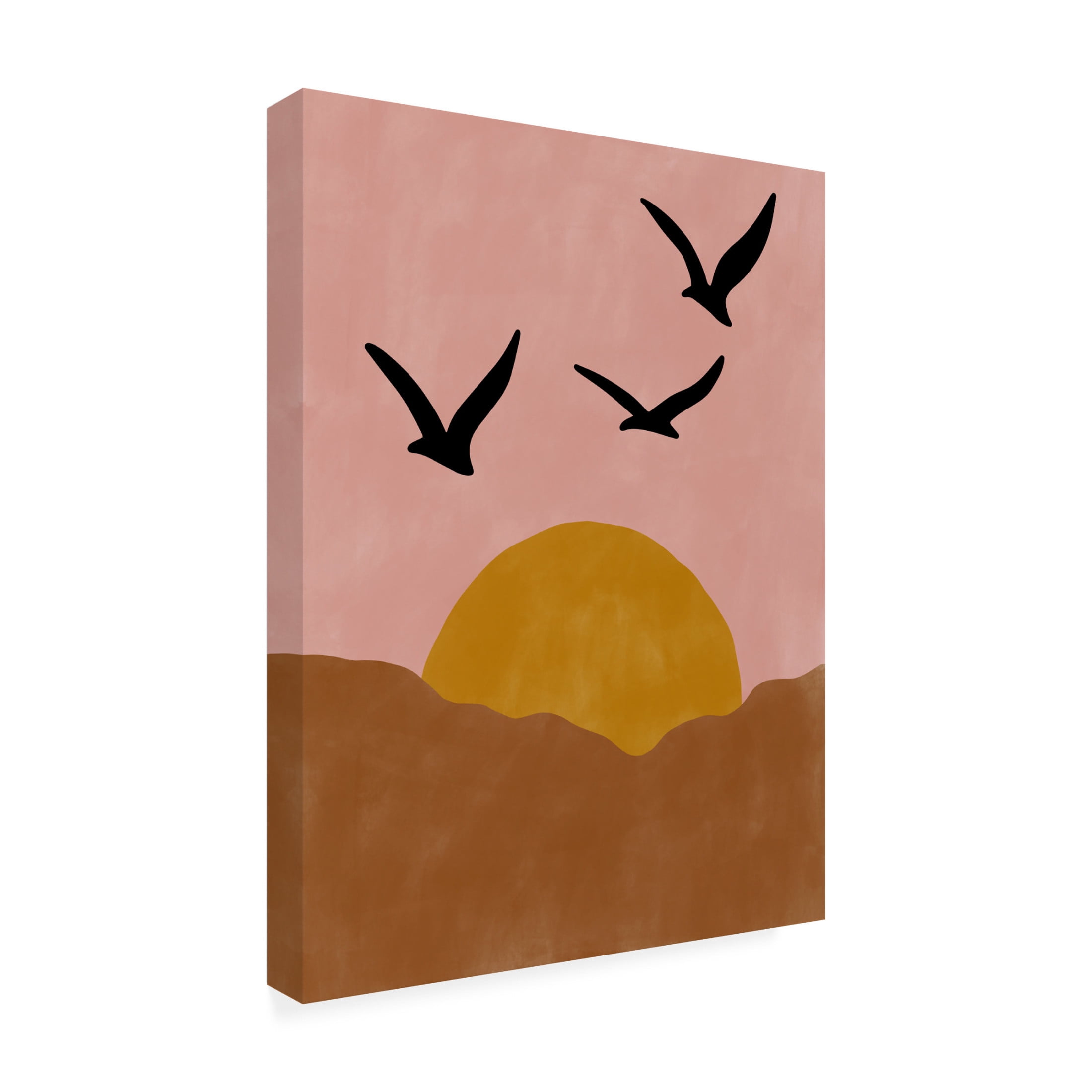 Trademark Fine Art Elena Ristova softpink32 Canvas Wall Art