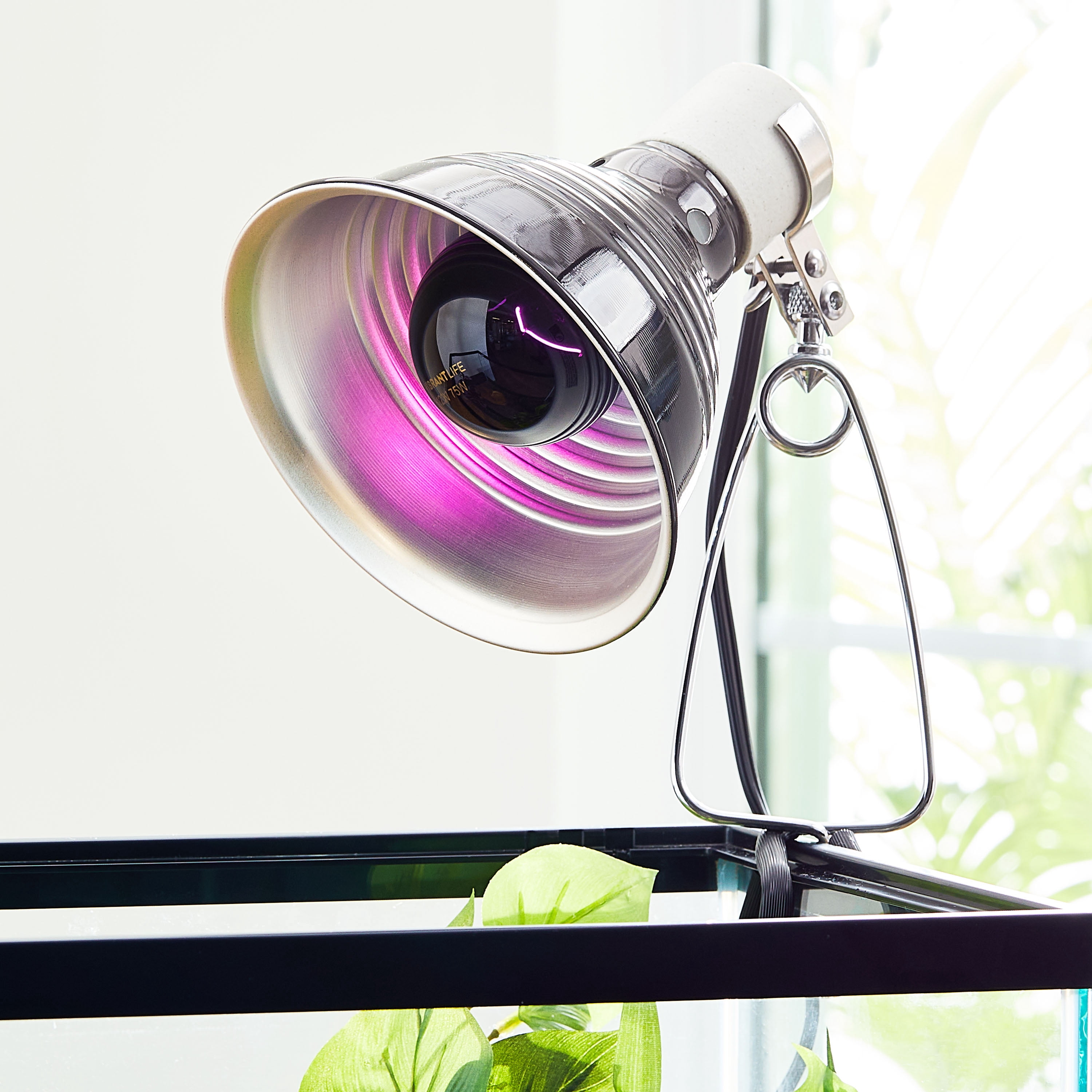 Vibrant Life Nighttime Heat Bulb for Reptiles, 75 Watts